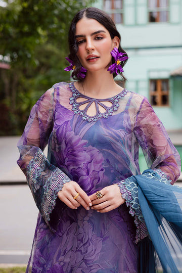 new collections coming